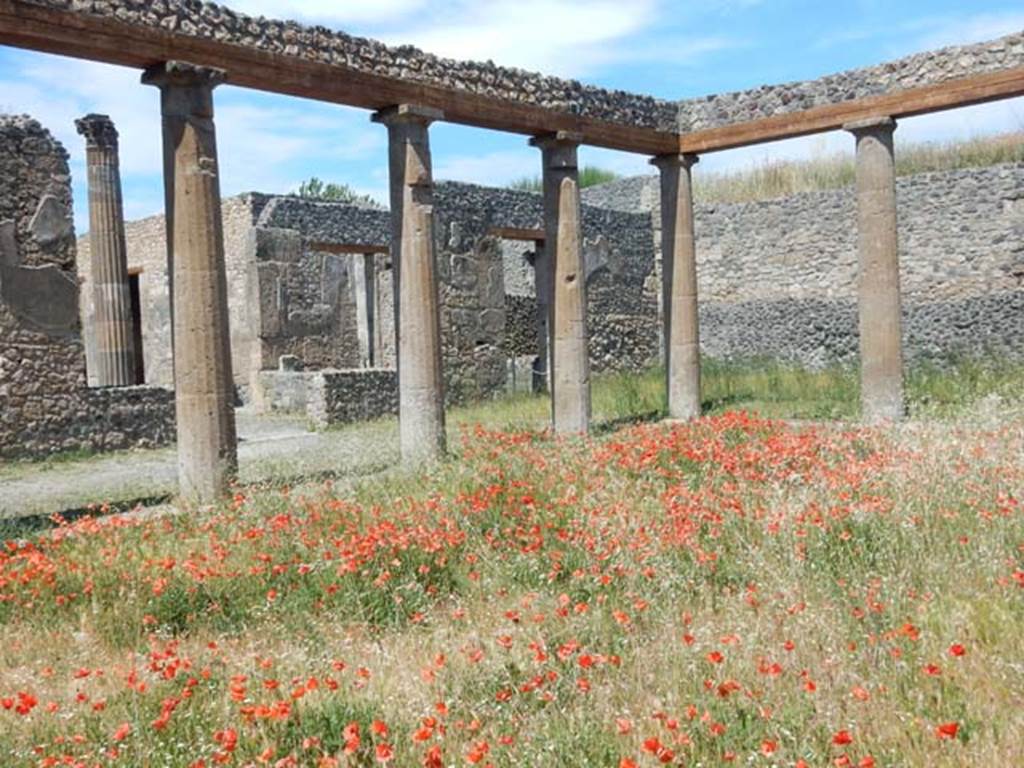 IX.14.4 Pompeii. May 2017. Looking north-east across peristyle towards north portico, and doorway to tablinum and atrium. Photo courtesy of Buzz Ferebee.