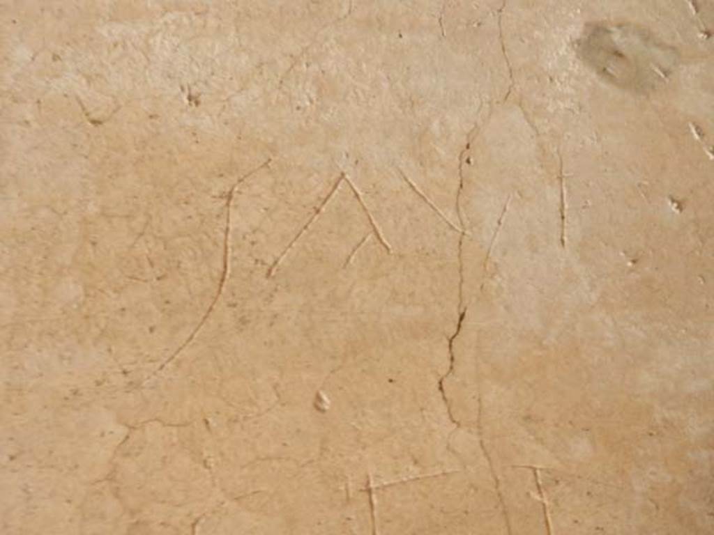 IX.14.4 Pompeii. May 2017. Graffito under the staircase on north side of peristyle.
This reads Sauf(ei).
Photo courtesy of Buzz Ferebee.