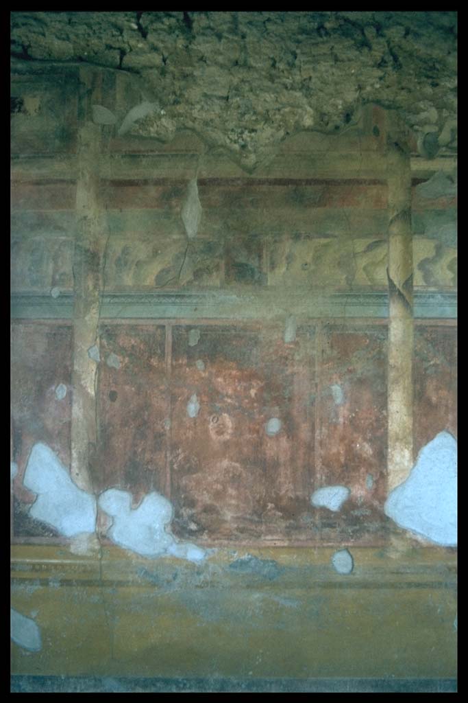 IX.14.4 Pompeii. East wall of tablinum, room 19.
Photographed 1970-79 by Günther Einhorn, picture courtesy of his son Ralf Einhorn.