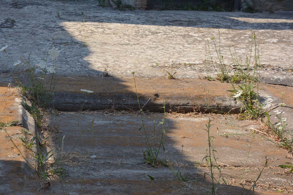 IX.14.4 Pompeii. July 2017. Looking north across impluvium of secondary atrium 27 at IX.14.2.
Foto Annette Haug, ERC Grant 681269 DÉCOR.
