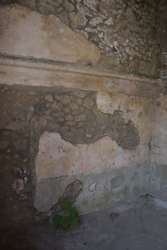IX.14.4 Pompeii. September 2019. Room 21, looking towards south wall.
Foto Annette Haug, ERC Grant 681269 DÉCOR.


