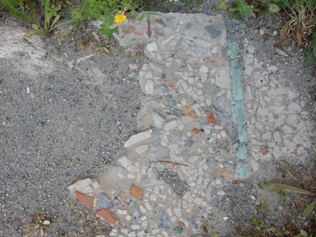 IX.14.4 Pompeii. May 2017. Detail of flooring at base of stairs, consisting of coloured limestone chippings with a border of green limestone rectangular edgings/slabs.
Around the margin of the border were white chippings.  Photo courtesy of Buzz Ferebee.

