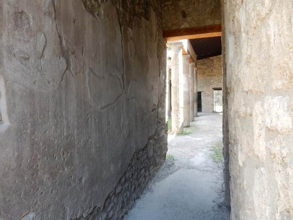IX.14.4 Pompeii. May 2017. Looking south along corridor from secondary atrium, towards peristyle 1.  Photo courtesy of Buzz Ferebee.
