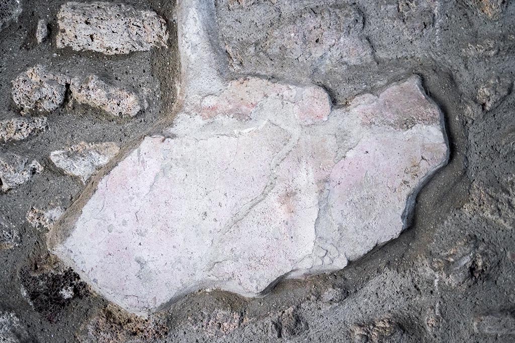 IX.14.4 Pompeii. July 2024. 
Detail from south wall below lararium niche. Photo courtesy of Johannes Eber.

