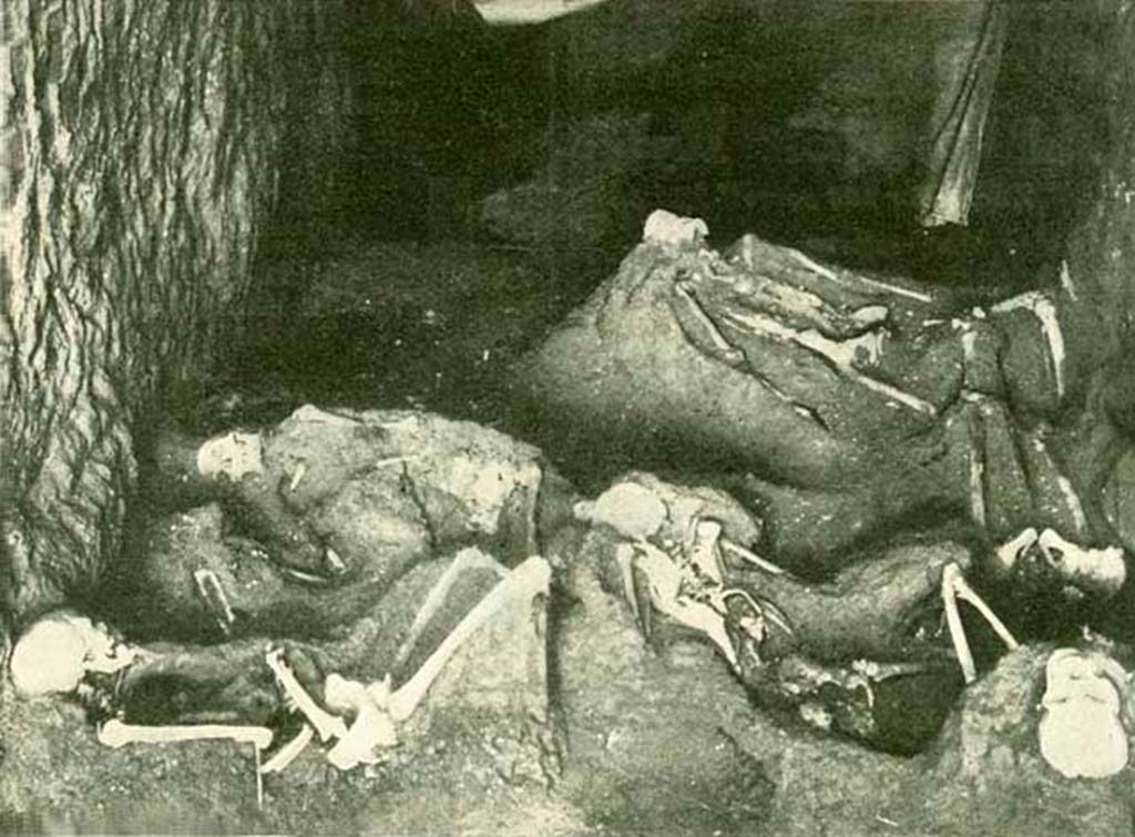 IX.14.4 Pompeii. 1912. Human skeletons discovered in the fauces 28, level with fauces 38.
These were found during September and October 1911.
There were five skeletons and they appear to have come from the rooms to the west of the fauces.
Being unable to get out past the high wall of lapilli in the Via di Nola or the Vicolo they tried to escape into the spacious house next door.
This is evidenced by a large hole the excavators found in the west wall of the fauces.
The absence of lapilli in the fauces showed the doors were closed at the time of the eruption.
The fauces effectively became hermetically sealed by lapilli from the atrium and the via di Nola.
They were unable to escape and eventually were overcome by a rain of ash.
See Notizie degli Scavi di Antichità, 1911, (p.350-1 and p.372-3).