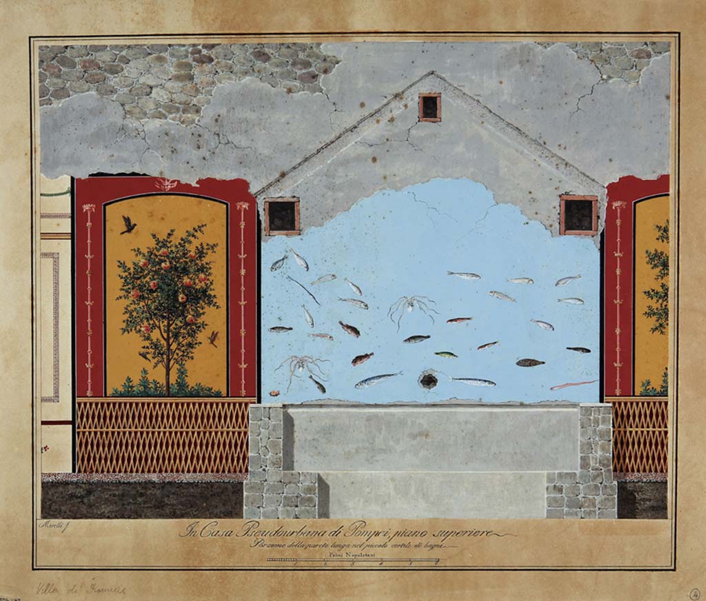 HGW24 Pompeii. Painting by Francesco Morelli of garden painting with fishes on wall in baths area 3 over the frigidarium pool.
Now in Naples Archaeological Museum. Inventory number ADS 1144.