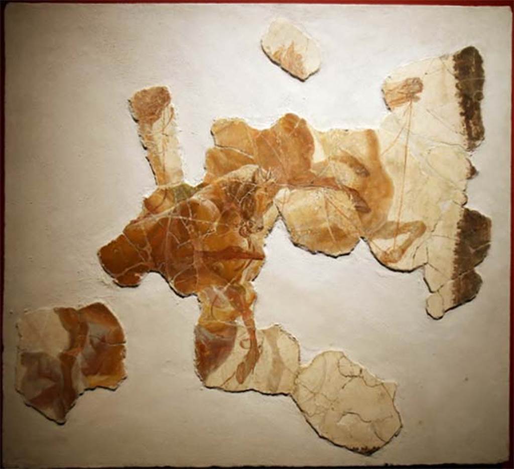 Villa San Marco, Stabiae. Portico 2, fragments of a painting of a chariot and horses, from the central part of original ceiling decoration.
Stabia Antiquarium, inventory number 62519.