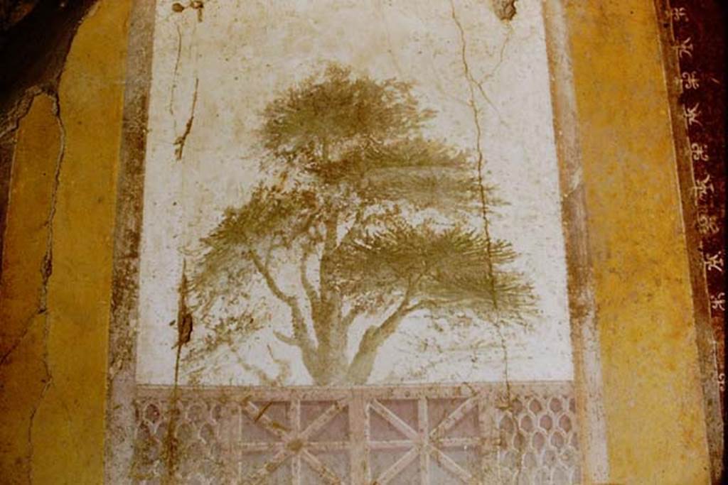 Villa San Marco, Stabiae, 1961. Room 20, detail of fresco on east wall, before improvements. Photo by Stanley A. Jashemski.
Source: The Wilhelmina and Stanley A. Jashemski archive in the University of Maryland Library, Special Collections (See collection page) and made available under the Creative Commons Attribution-Non Commercial License v.4. See Licence and use details. Jmit0124