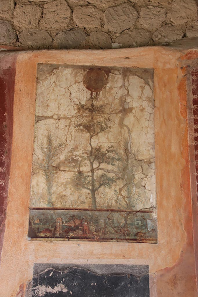 Villa San Marco, October 2022.
Room 20, painted panel from east wall. Photo courtesy of Klaus Heese.