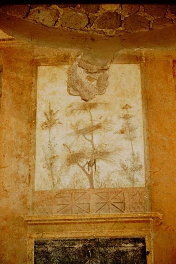 Villa San Marco, Stabiae, 1961. Room 20, detail of fresco on east wall in south-east corner, before improvements. Photo by Stanley A. Jashemski.
Source: The Wilhelmina and Stanley A. Jashemski archive in the University of Maryland Library, Special Collections (See collection page) and made available under the Creative Commons Attribution-Non Commercial License v.4. See Licence and use details. Jmit0123