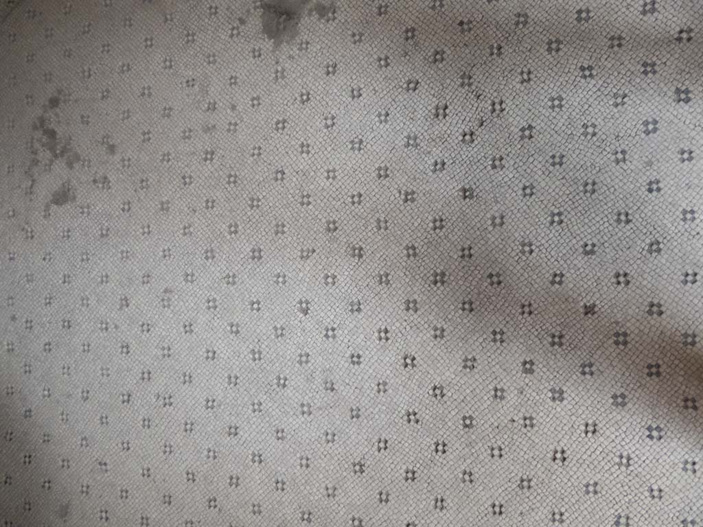 Villa of Mysteries, Pompeii. September 2017. Room 6, mosaic floor.
Foto Annette Haug, ERC Grant 681269 DÉCOR.
