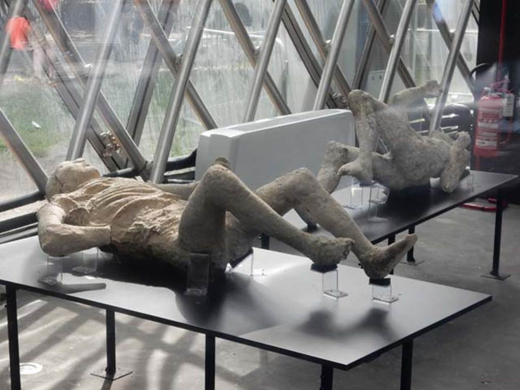 Piazza Anfiteatro. May 2018. General view of two more plaster-casts in the exhibition centre.
Photo courtesy of Buzz Ferebee.
On the left is the plaster-cast known as Victim No.9.
The cast on the right is a mystery, see other four photos below.