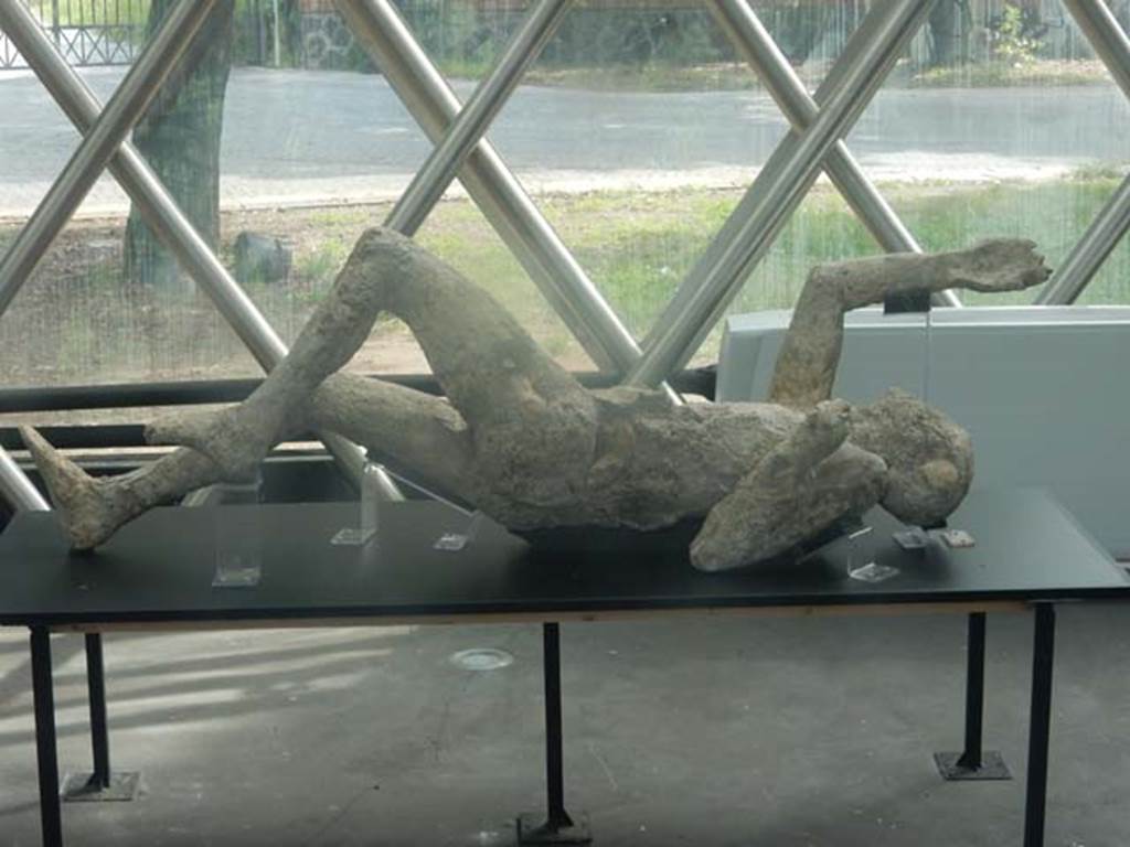 Piazza Anfiteatro. Pompeii. May 2018. Mystery plaster-cast on display in exhibition centre. Photo courtesy of Buzz Ferebee.
According to Maiuri, one of the two plaster-casts taken in the excavation of the Palaestra (1933, and 1935-39) was the
“the handsome body of a young man, one of those strong, agile young men from Campania, with athletic legs just made for running and for the last gasp of the race”. The victim had been identified as an athlete, also because of the discovery near his body of bronze strigils, usually used by gymnasts”
See Guzzo, P. (ed), (2003). Tales from an eruption. Milano, Electa. (p.143, article by Tiziana Rocco.
(Our comment: With his beautiful muscled legs, we are wondering if this was the other plaster-cast taken in the Palaestra by Maiuri, and described as “a man still appearing to be running, even in death”.)
(Estelle Lazer's, (the expert on plaster-casts) answered:
This cast is a bit of a mystery. I have spoken to several people about it and no one seems to know when it was cast or where it came from.
It was stored in the church in Pompeii and came back to the site when the cast restoration project started in 2015.
We have x-rayed it extensively. It has what appears to be a complete skeleton and appears to be intact.
I will certainly let you know if I can manage to find out more about it.)
According to Garcia y Garcia, with regards to plaster casts that were shown in the antiquarium prior to the 1943 bombing, they perhaps were either destroyed, or are now located elsewhere.
See Garcia y Garcia, L., 2006. Danni di guerra a Pompei. Rome: L’Erma di Bretschneider, (p.194).
(Comment: we would love to find out what happened to the Maiuri plaster-cast, was it in the Antiquarium when it was bombed in 1943?, or had it already been sent to the Pompeii church for storage?, surely such a beautiful plaster-cast would have been displayed ? Please feel free to make a comment on this mystery.)