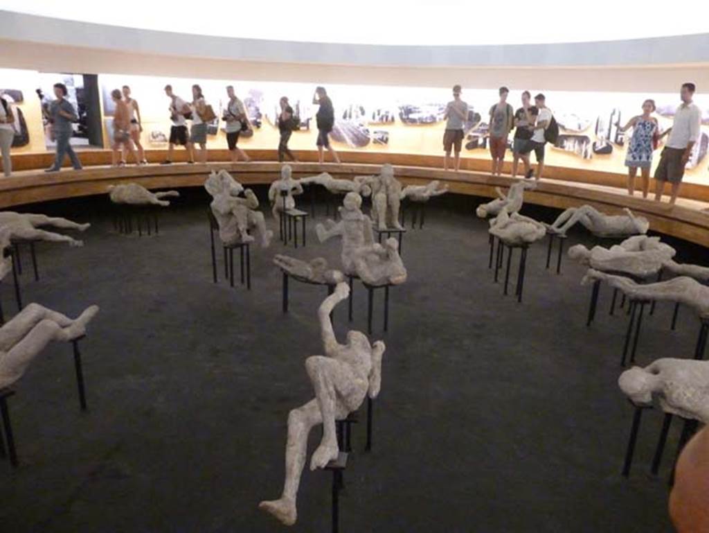 Plaster-casts on display in amphitheatre exhibition. September 2015,
The mystery cast is in the lower centre.