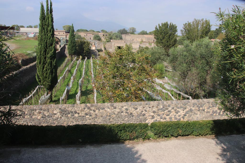 Unnamed vicolo between south end of I.23 and I.22, on left. October 2023. Looking north across I.22. Photo courtesy of Klaus Heese.