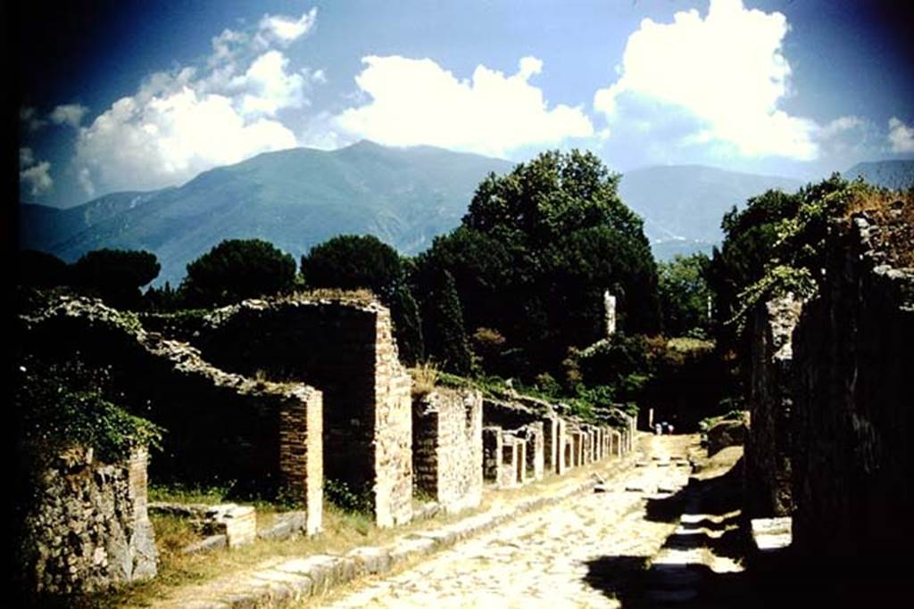 Via Stabiana, 1959. Looking south between I.3 and VIII.7. Photo by Stanley A. Jashemski.
Source: The Wilhelmina and Stanley A. Jashemski archive in the University of Maryland Library, Special Collections (See collection page) and made available under the Creative Commons Attribution-Non Commercial License v.4. See Licence and use details.
J59f0313