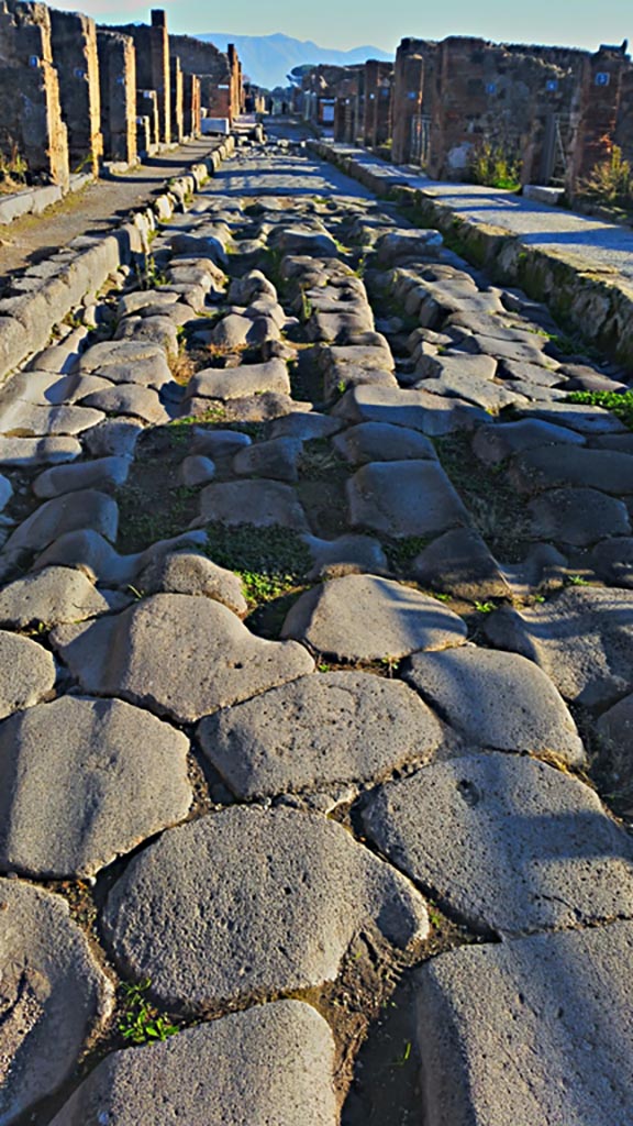 Via della Fortuna, Pompeii. 2017/2018/2019. 
Looking east between VI.14 and VII.3. Photo courtesy of Giuseppe Ciaramella.

