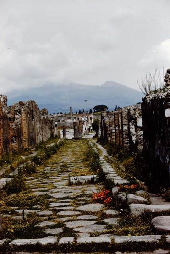 Via delle Scuole, Pompeii. 1961. Looking north to the Forum, from between VIII.2 and VIII.3. Photo by Stanley A. Jashemski.
Source: The Wilhelmina and Stanley A. Jashemski archive in the University of Maryland Library, Special Collections (See collection page) and made available under the Creative Commons Attribution-Non Commercial License v.4. See Licence and use details.
J61f0298