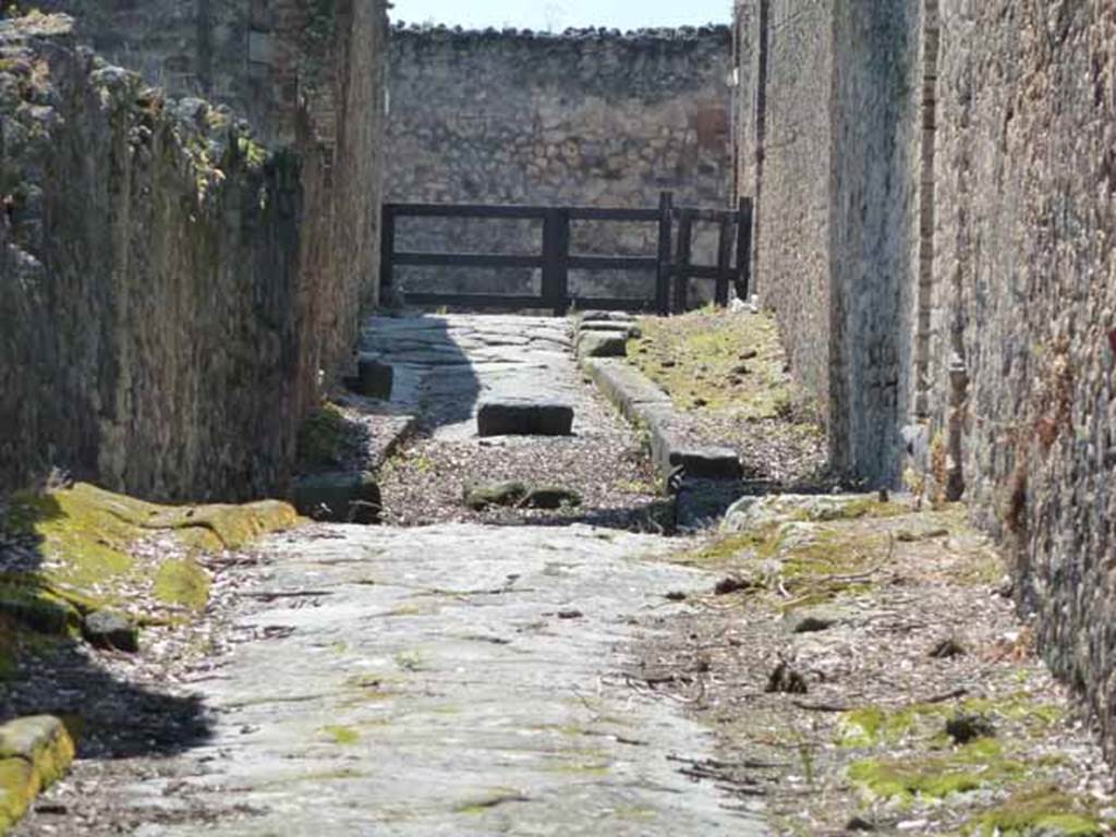 Vicolo dei Dodici Dei, May 2010. Looking south between VIII.5 and VIII.3.