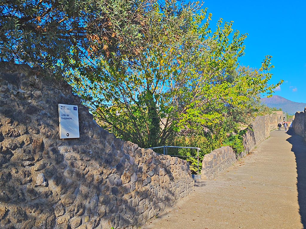 Vicolo dei Fuggiaschi, west side, Pompeii. October 2024. 
Looking north from near entrance at I.21.6 into Garden of the Fugitives. Photo courtesy of Giuseppe Ciaramella.
