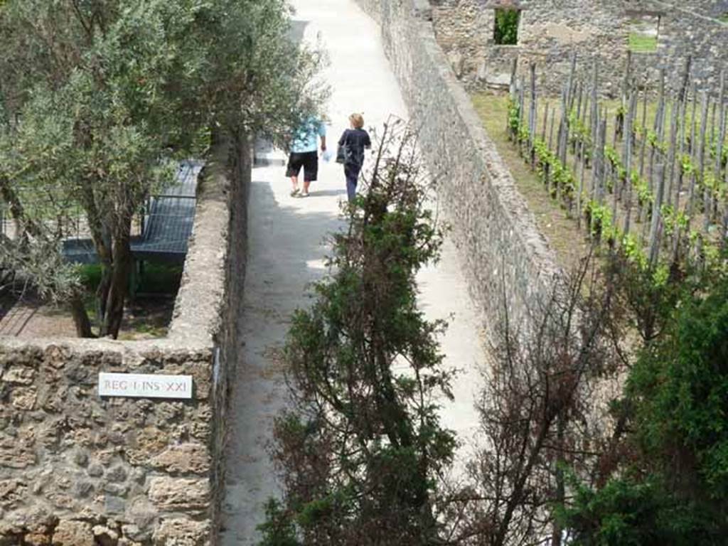 Vicolo dei Fuggiaschi. May 2010. Looking north from above I.21 and I.20 from the south end of the vicolo.