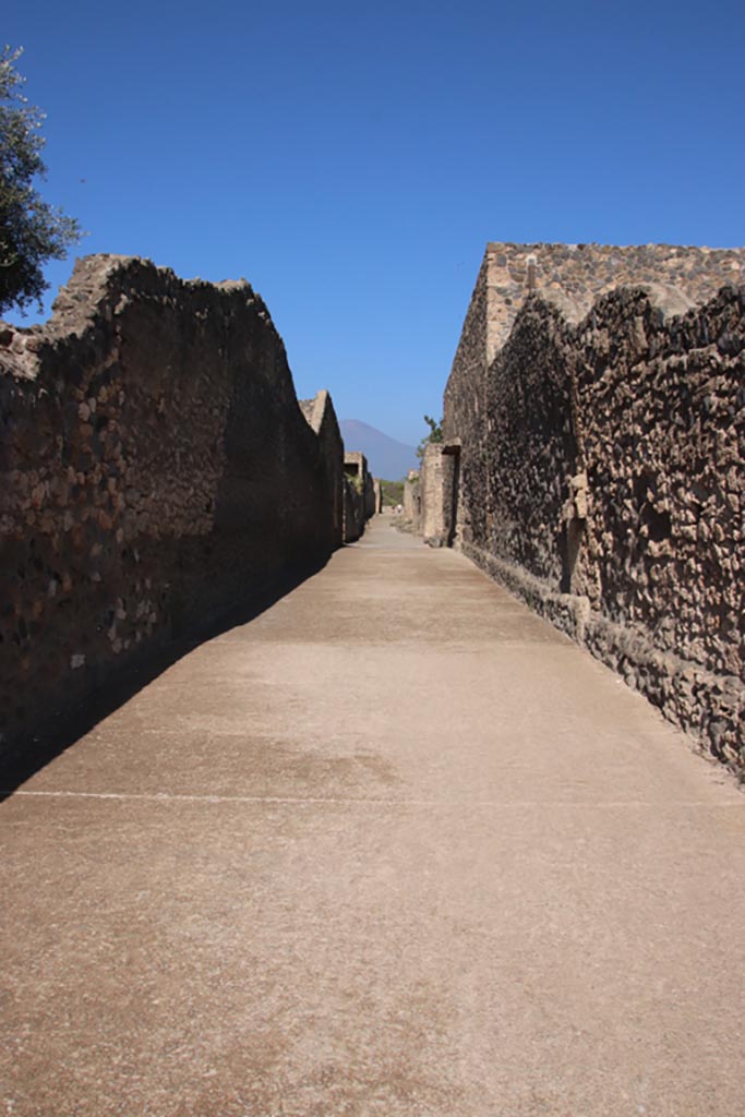 Vicolo della Nave Europa, Pompeii. October 2022.
Looking north between I.16 and I.15. Photo courtesy of Klaus Heese