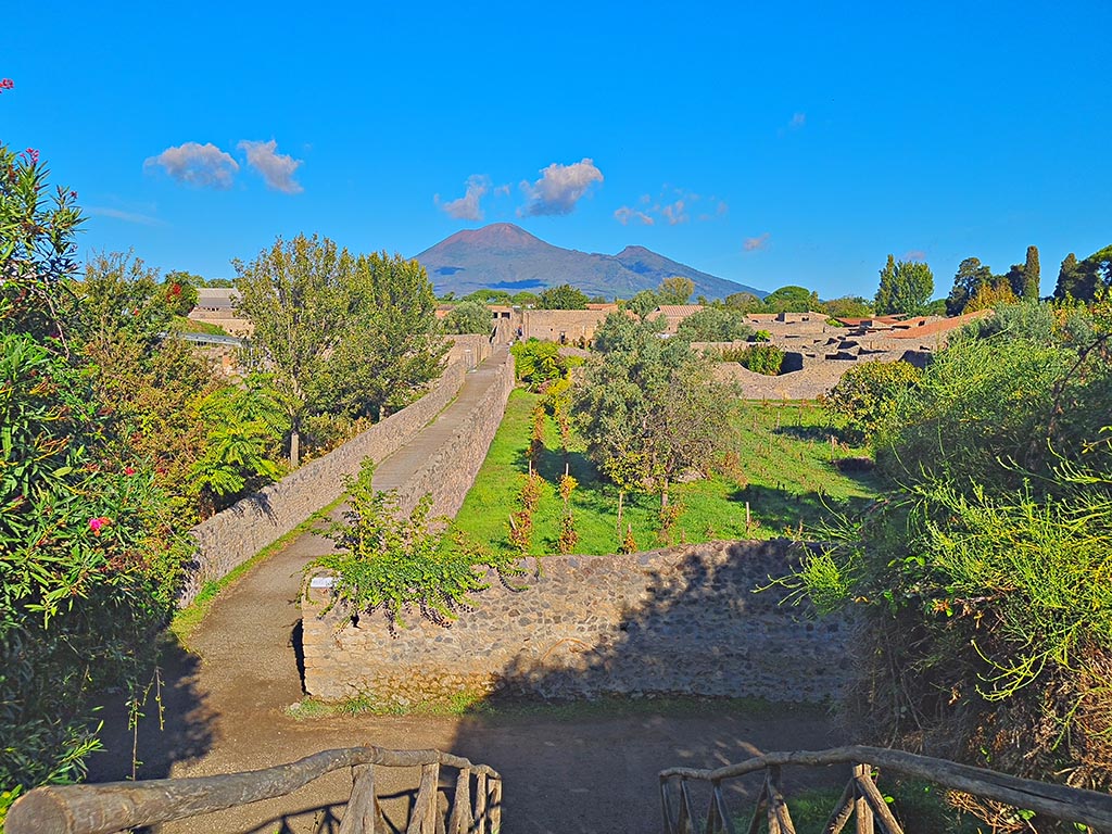 Vicolo della Nave Europa, Pompeii, on left, and Insula I.21. on right. October 2024.
Looking north across I.21.2/6. Photo courtesy of Giuseppe Ciaramella.