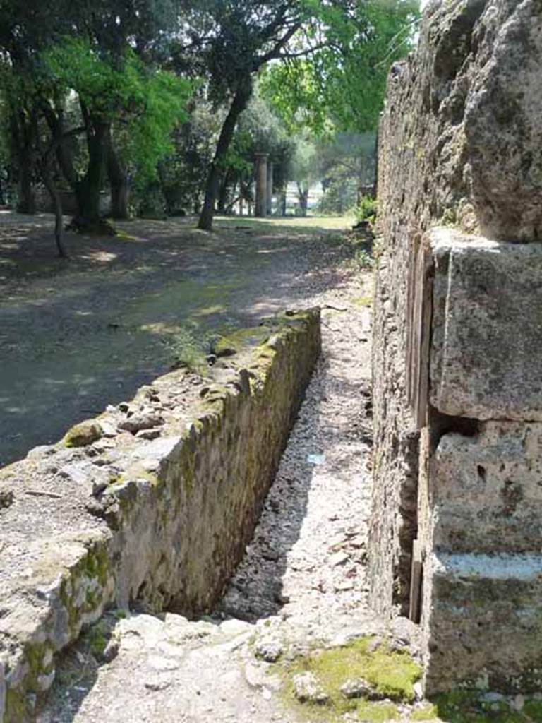 Unnamed access to Triangular Forum at south end of Via dei Teatri. May 2010. Looking south from junction with Vicolo della Regina. 
