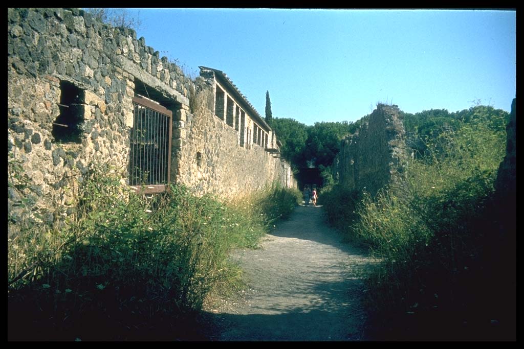 Vicolo di Giulia Felice. Looking south.
Photographed 1970-79 by Günther Einhorn, picture courtesy of his son Ralf Einhorn.