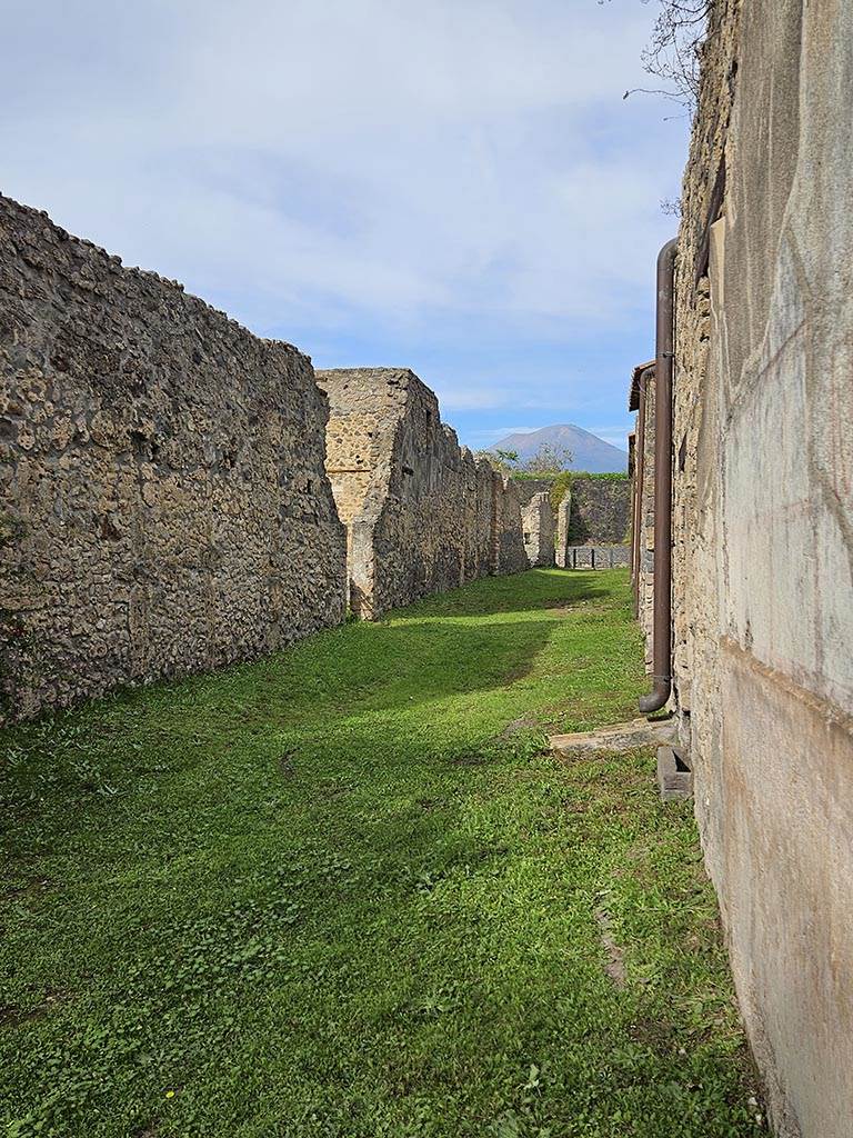 Vicolo di Giulia Felice, Pompeii. November 2024.
Looking north from near II.4.10 on east side of Vicolo. Photo courtesy of Annette Haug.