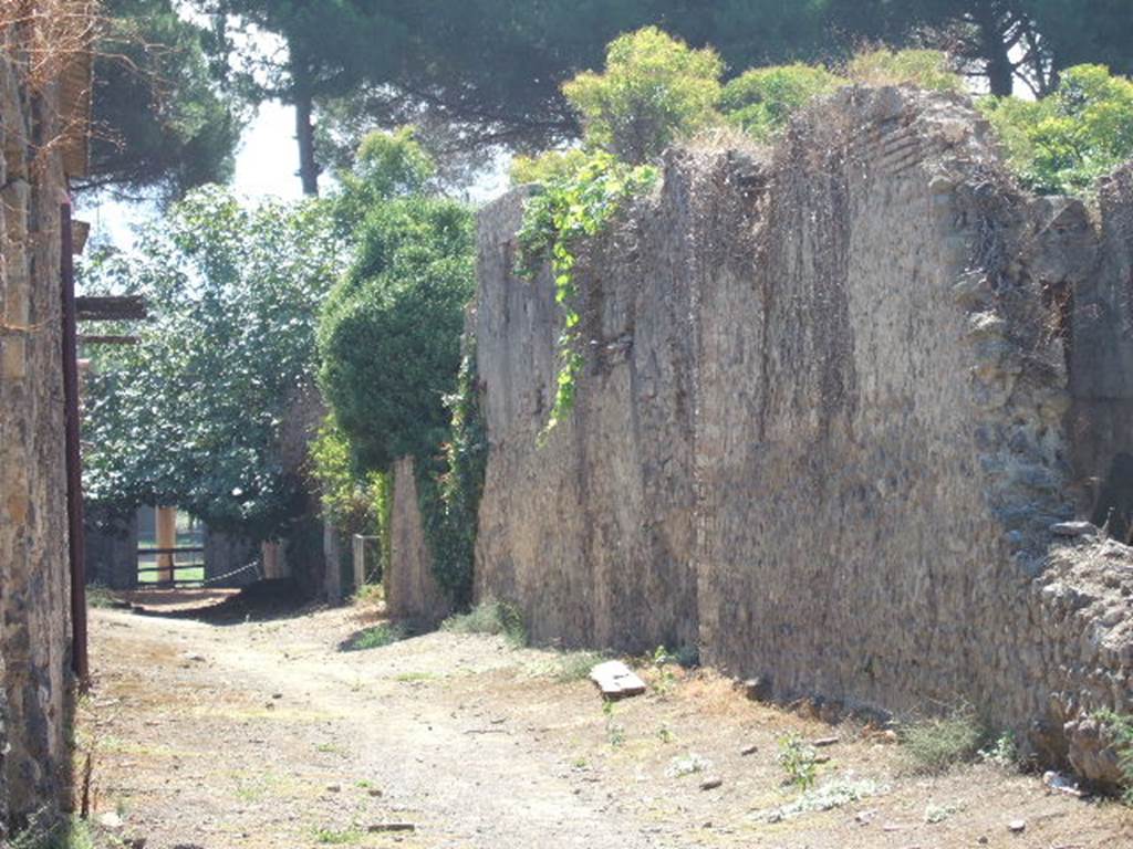 Vicolo di Giulia Felice. West side. Looking south from near II.3.6. September 2005.