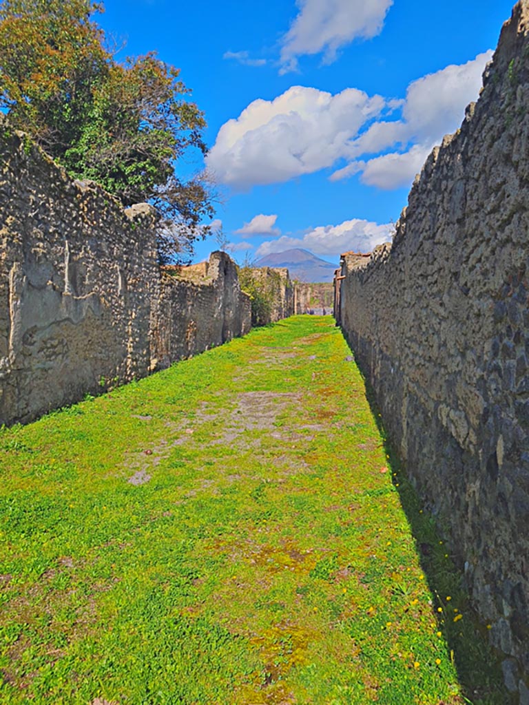 Vicolo di Giulia Felice, Pompeii. March 2024.
Looking north from junction with Via di Castricio. Photo courtesy of Giuseppe Ciaramella.