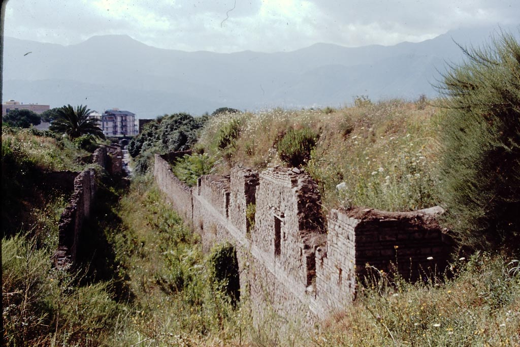 Vicolo di Ifigenia between III.4 and III.3, Pompeii. 1968. North end. 
Looking south towards Nocera Gate, from the unexcavated area. Photo by Stanley A. Jashemski.
Source: The Wilhelmina and Stanley A. Jashemski archive in the University of Maryland Library, Special Collections (See collection page) and made available under the Creative Commons Attribution-Non Commercial License v.4. See Licence and use details.
J68f0856
