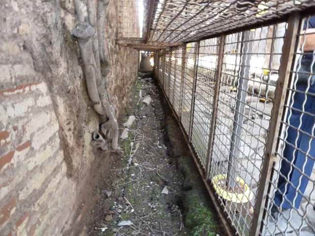 Vicolo di Mercurio. May 2010. Ancient water pipes on the edge of the road at the north end of VI.13.