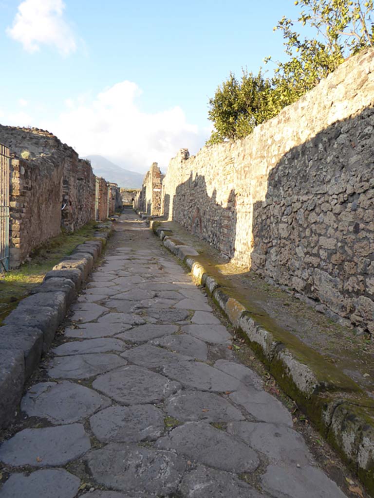 Vicolo di Modesto, Pompeii. January 2017. Looking north from VI.3.25, on left.
Foto Annette Haug, ERC Grant 681269 DÉCOR.