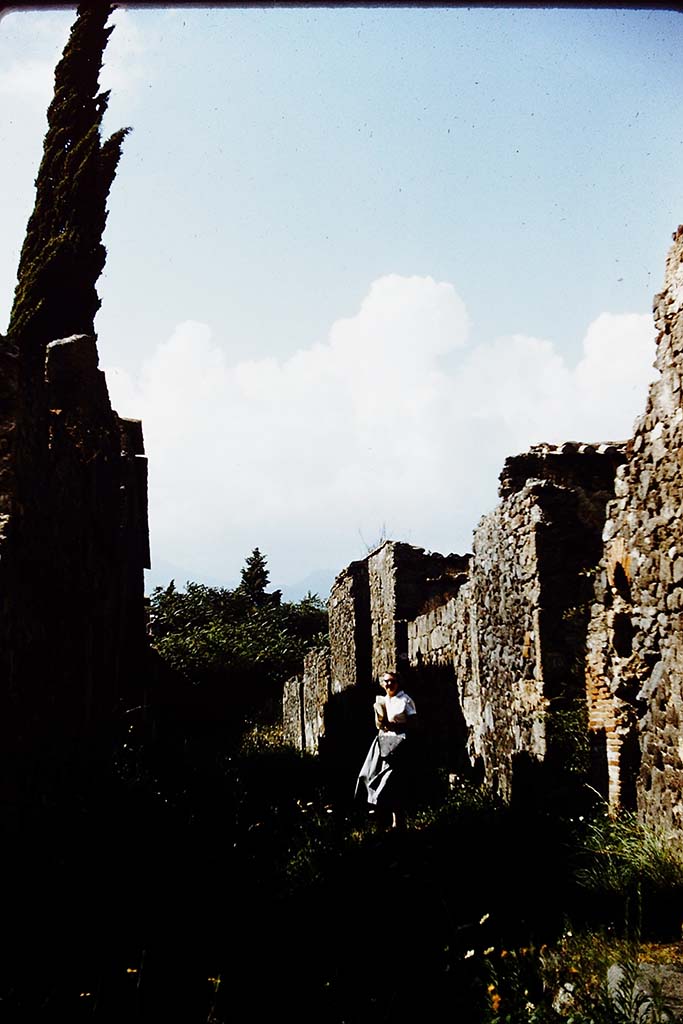 Vicolo di Modesto, Pompeii. 1959.
Looking north along east side. Photo by Stanley A. Jashemski.
Source: The Wilhelmina and Stanley A. Jashemski archive in the University of Maryland Library, Special Collections (See collection page) and made available under the Creative Commons Attribution-Non Commercial License v.4. See Licence and use details.
J59f0577