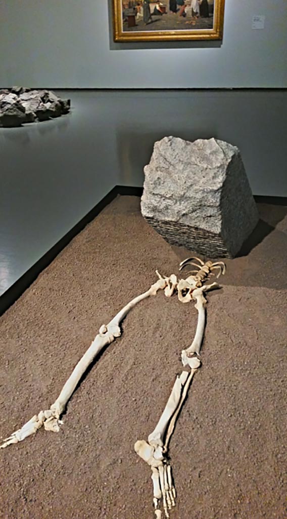 Junction of Vicolo delle Nozze d’Argento with the Vicolo dei Balconi, December 2019.
Headless skeleton of a male victim, found 2018.
On display in exhibition “Pompei e Santorini” in Rome, 2019. Photo courtesy of Giuseppe Ciaramella.