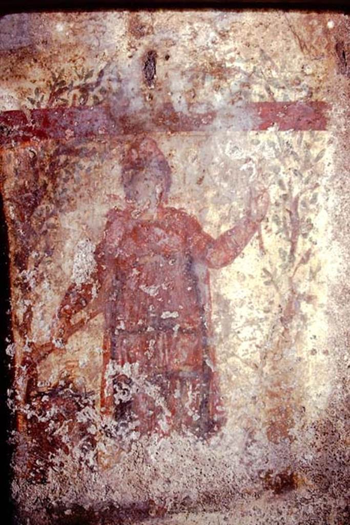 SSanta Maria Capua Vetere, Mithraeum. 1974. Figure on south wall.
Photo by Stanley A. Jashemski.   
Source: The Wilhelmina and Stanley A. Jashemski archive in the University of Maryland Library, Special Collections (See collection page) and made available under the Creative Commons Attribution-Non Commercial License v.4. See Licence and use details.
J74f0587
According to Minto, the figure holds a torch pointing downwards in the right hand.
This may be a personification of Sol Occidens.
See Notizie degli Scavi di Antichità, 1924 p. 364, fig. 8.

