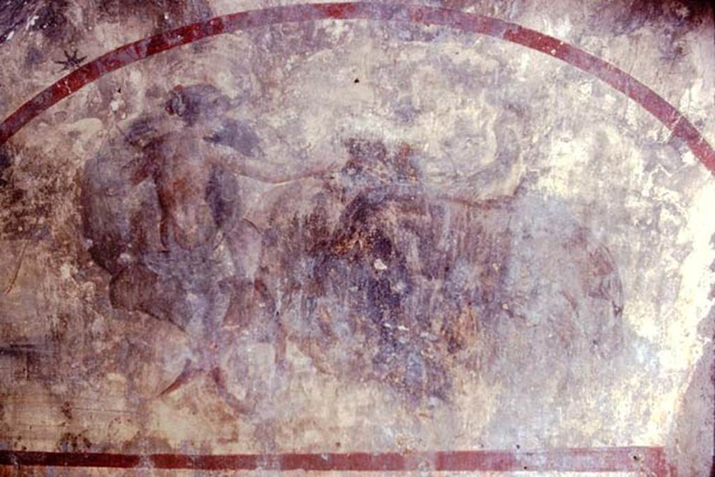 Santa Maria Capua Vetere, Mithraeum. 1974. Fresco of Luna/Diana on the East wall.
Photo by Stanley A. Jashemski.   
Source: The Wilhelmina and Stanley A. Jashemski archive in the University of Maryland Library, Special Collections (See collection page) and made available under the Creative Commons Attribution-Non-Commercial License v.4. See Licence and use details.
J74f0581

In an arch-shaped frame the representation of Luna, seated in a biga (two wheeled chariot). 
She is dressed in a green tunica, leaving the brownish back uncovered. 
Of the horses, which are driven with the aid of whip and reins, the darkish one with drooping head is moving already, whereas the grey horse, turning its head towards the goddess, seems to be waiting a signal.
See Vermaseren M. J., 1971. Corpus Inscriptionum et Monumentorum Religionis Mithriacae, p. 107, no. 184, fig. 55.
