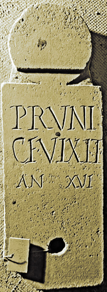 FS94-7. Marble columella of Pruni.
With circular hole near the base, found in the area between wall and tomb, 0.60m high, 0.21m wide:
PRVNI
C F VIXIT
AN XVI
