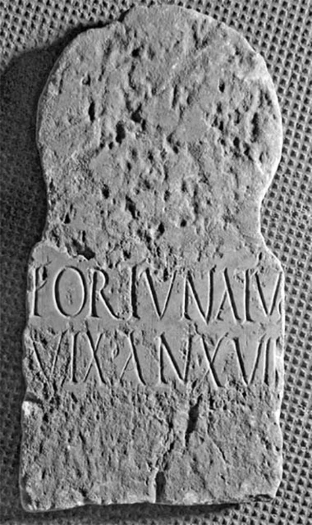 FS97-6. Marble columella of Fortunatus.
Inscription reads
FORTVNATVs
VIX • AN • XVII
Fortunatus
vix(it) an(nis) XVII
Burial of a slave.
See Notizie degli Scavi di Antichità, 1897, p. 276, no. 6.
Photo © Umberto Soldovieri.
