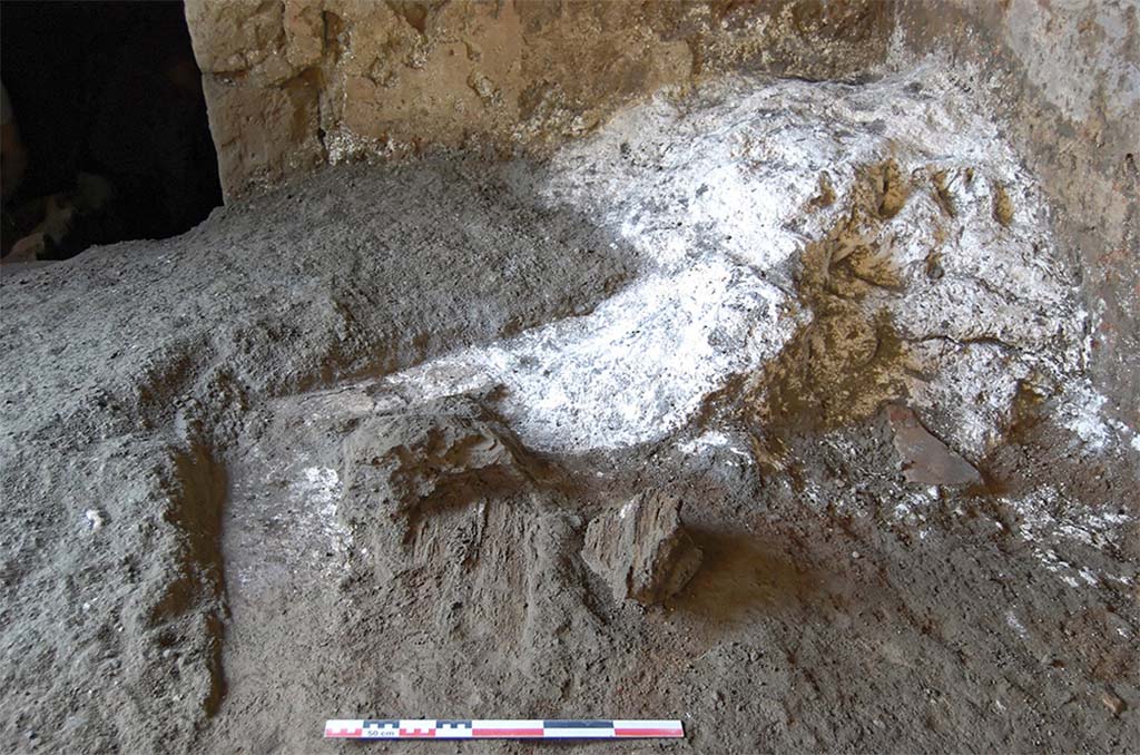 Fig. 25 – Boutique N20. Tas de chaux et empreintes de bois pris dans le matériel éruptif.
Vue de l’est.
Cliché : A. Denysiak-EFR.