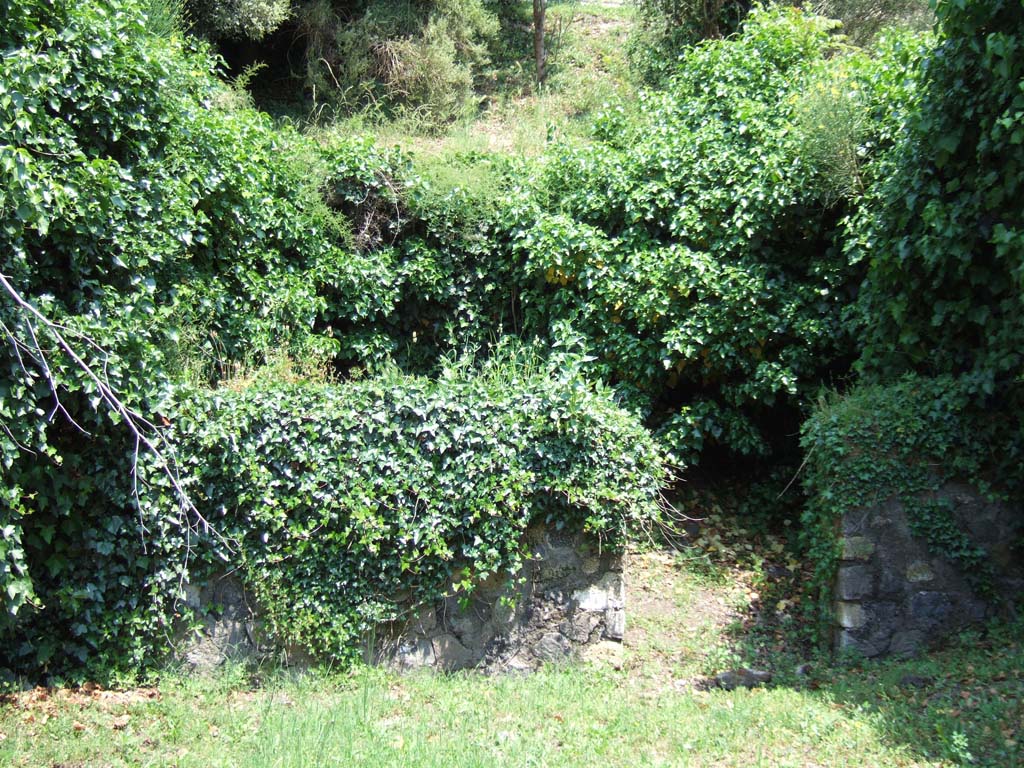 HGE25 Pompeii. May 2006. Looking east across shop-room towards rear wall with doorway.