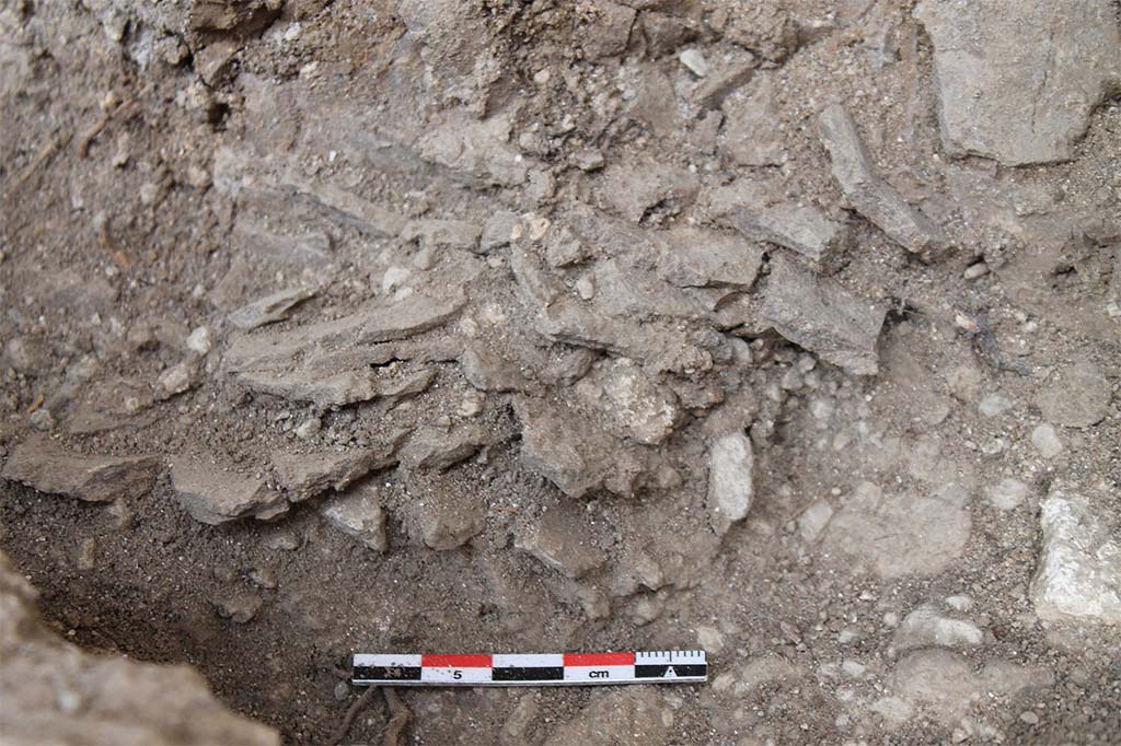 Fig. 7 - Photo de détail des vases crus en phase de séchage mis au jour dans l’angle nord-est de la pièce 28-1.
Cliché L. Cavassa.