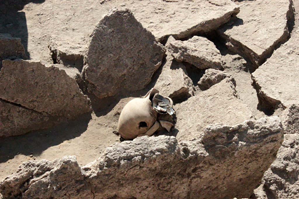 HG31A Pompeii. Tomb of a Samnite Woman. 2015. Artefacts at the foot of the tomb.
In the south corner a common ceramic table amphora was unearthed, on which rested a ceramic cup in vernice nera.
Finally, between the feet of the deceased, two vases were discovered: an askos with red figures and a cup in vernice nera.
(See CEFR 1581 and below) Para 44.
Objets au pied de la tombe.
Dans l’angle sud, une amphore de table en céramique commune a été mise au jour, sur laquelle reposait une coupe en céramique à vernis noir.
Enfin, entre les pieds du défunt, ont été découverts deux vases : un askos à figures rouges et une coupelle à vernis noir.
(Voir CEFR 1581 et ci-dessous) Para. 44.
Photograph © Parco Archeologico di Pompei.