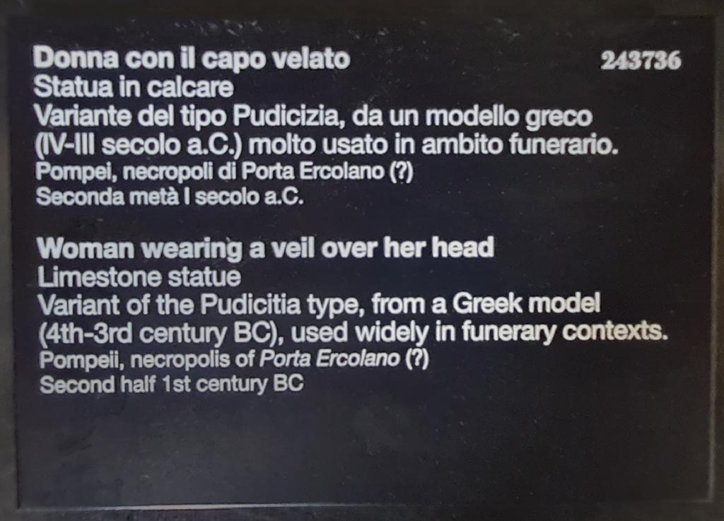 HGE39 Pompeii. April 2023.
Descriptive card for inv. 243736 from “Campania Romana” gallery in Naples Archaeological Museum. Photo courtesy of Giuseppe Ciaramella.