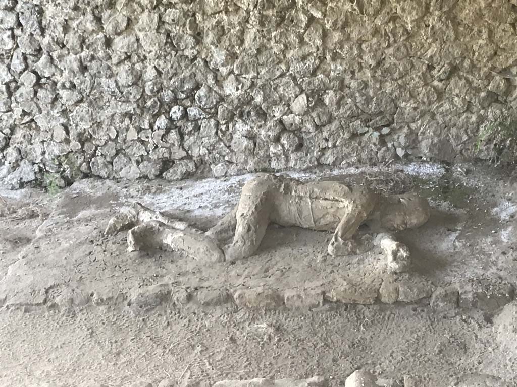 Pompeii, outside Porta Nocera. April 2019. 
Plaster cast of remains of a second fleeing victim found in 1956/7. Photo courtesy of Rick Bauer. 
