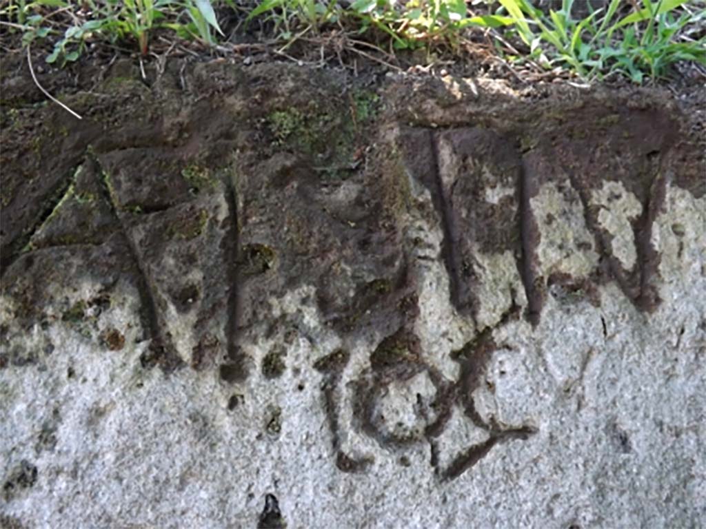 Tombs PSPN Pompeii. July 2011. Walls near Tower VII. According to Virginia Campbell this is in fact Aulus Festius.
A(ulus) Festiu[s] / locu[s]
Aulus Festius. This place.
See Campbell V., 2015. The tombs of Pompeii: organization, space, and society. New York-London: Routledge, p. 336.
See https://pompeiinetworks.wordpress.com/tag/tombs/ 

