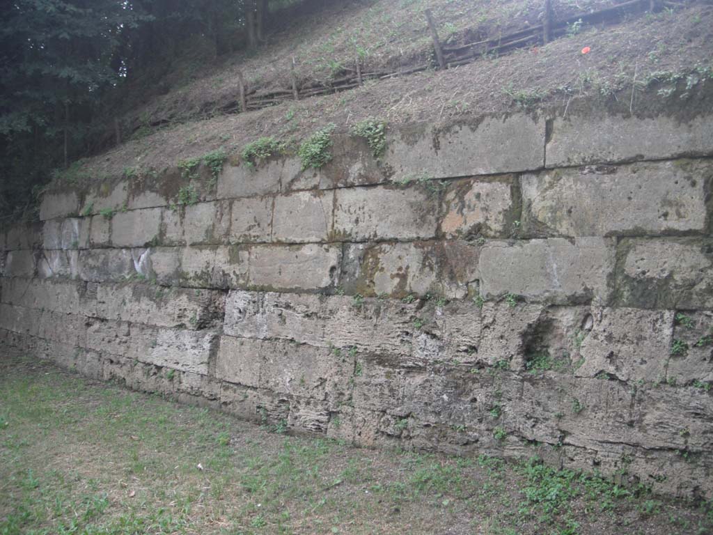 Tombs PSPN Pompeii. May 2011. Section of wall with inscription to Alleia Calaes alleia Numphe 3 blocks from right in second row down.
Photo courtesy of Ivo van der Graaff.