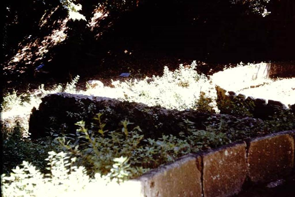 SGD Pompeii. 1961. Looking towards SGH and SGG, rear enclosures of both schola tombs.
Photo by Stanley A. Jashemski.
Source: The Wilhelmina and Stanley A. Jashemski archive in the University of Maryland Library, Special Collections (See collection page) and made available under the Creative Commons Attribution-Non Commercial License v.4. See Licence and use details.
J61f0751